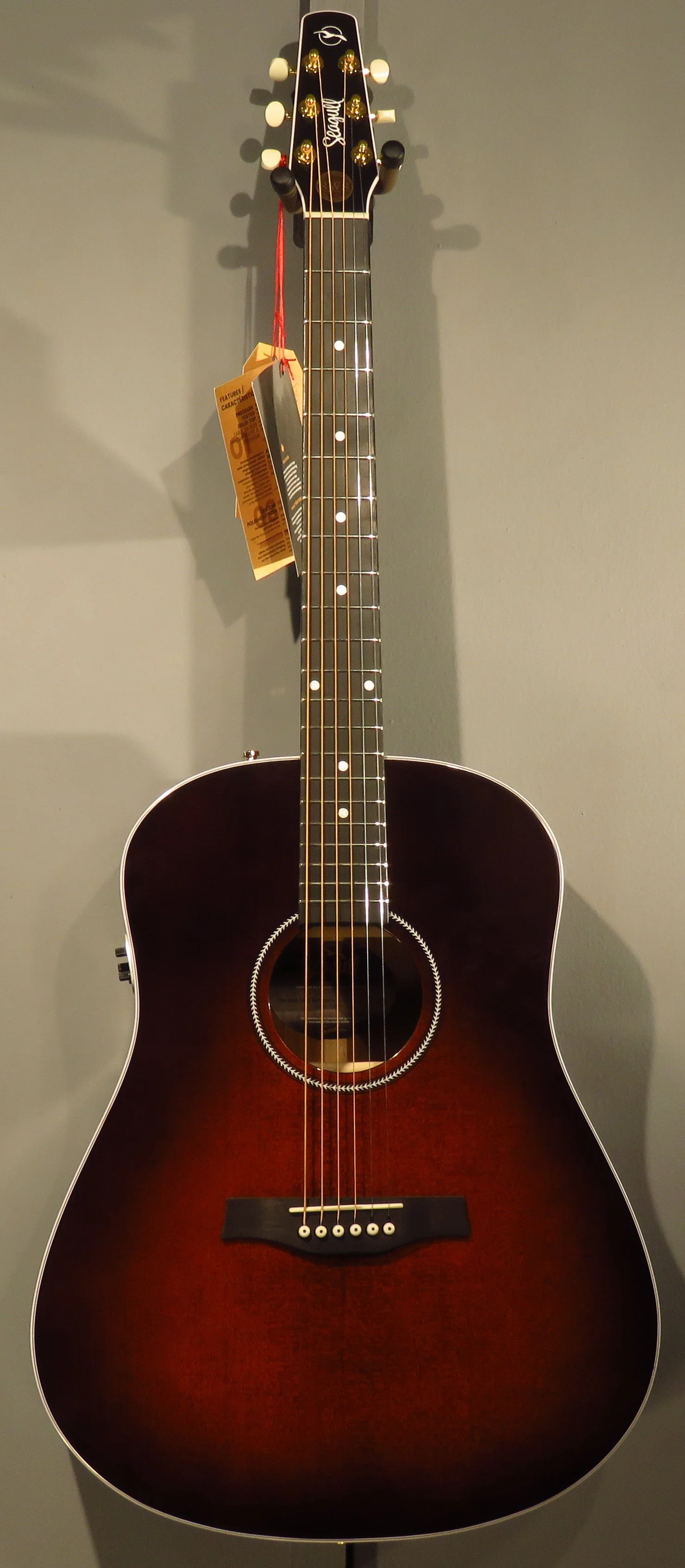 seagull maritime cedar GT ギター 41aHx48HLLL.jpg